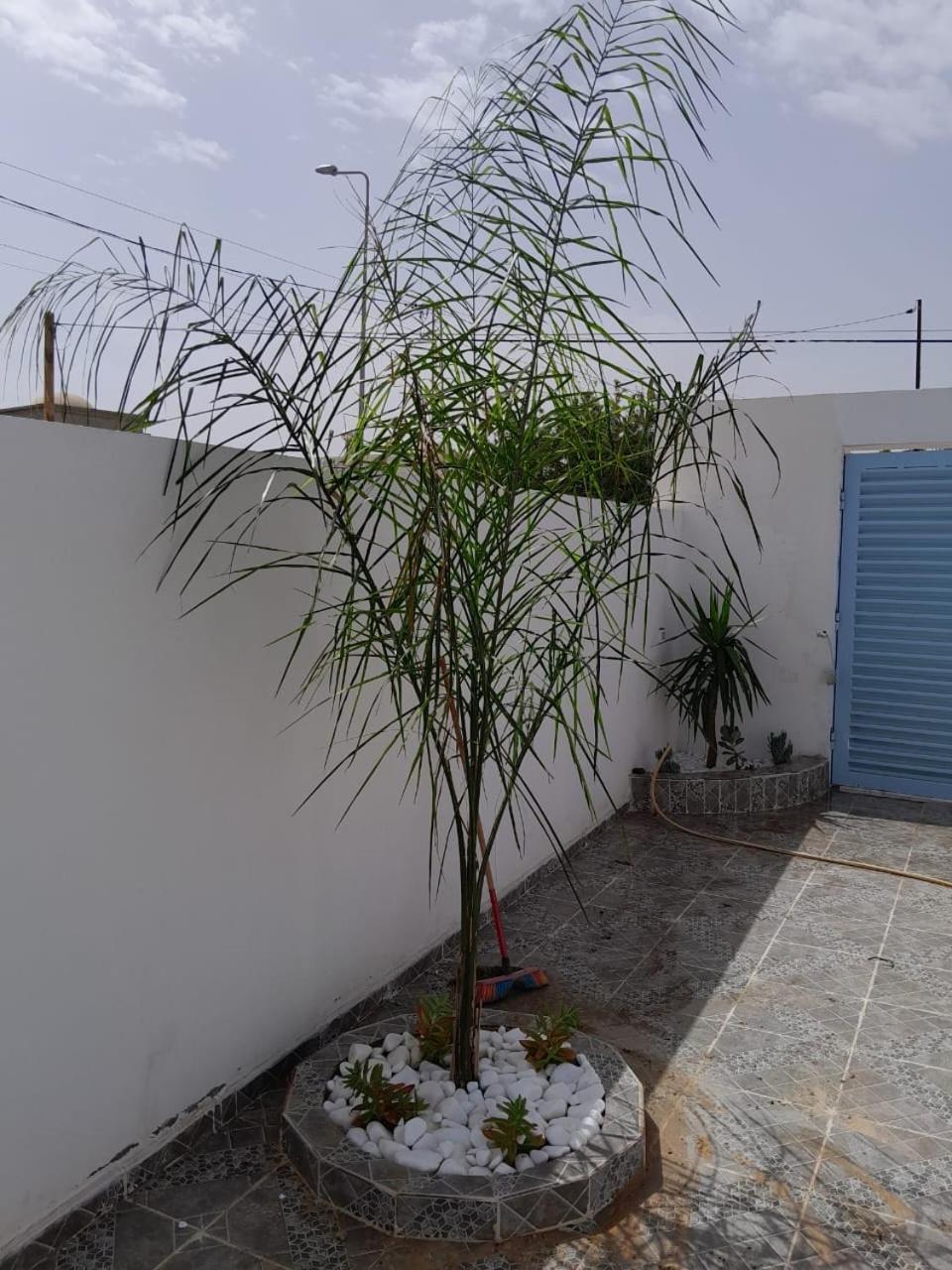 Studio Rouge Cosy A Dar Lili Djerba Мезрая Экстерьер фото