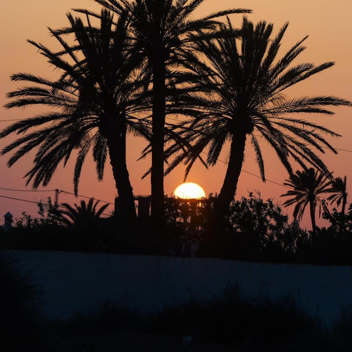Studio Rouge Cosy A Dar Lili Djerba Мезрая Экстерьер фото
